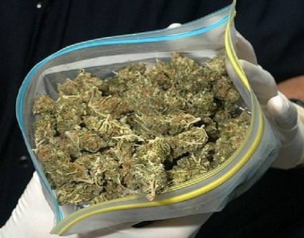 В СКО задержан наркосбытчик с 4 килограммами зелья