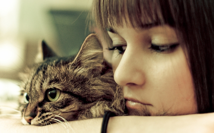 Передают ли коронавирус домашние животные – ВОЗ