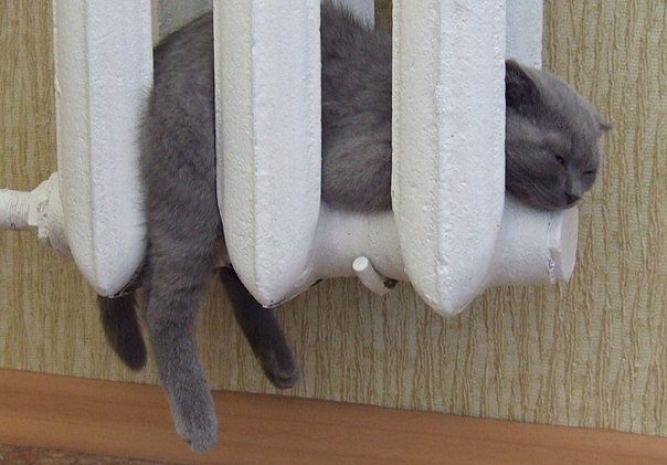 Когда отключат отопление в Алматы?