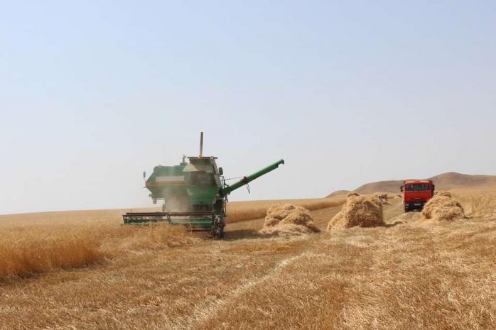 В Казахстане собрали рекордный урожай