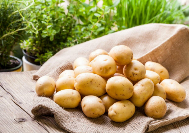 Ограничение на покупку моркови и картофеля установили в Костанае