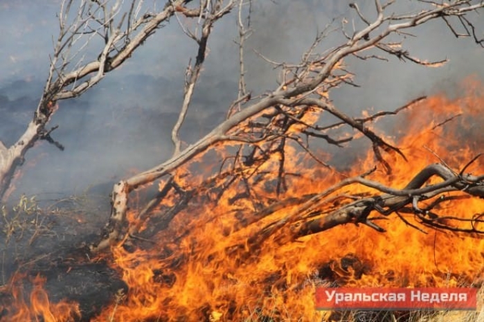 В Западном Казахстане бушует степной пожар