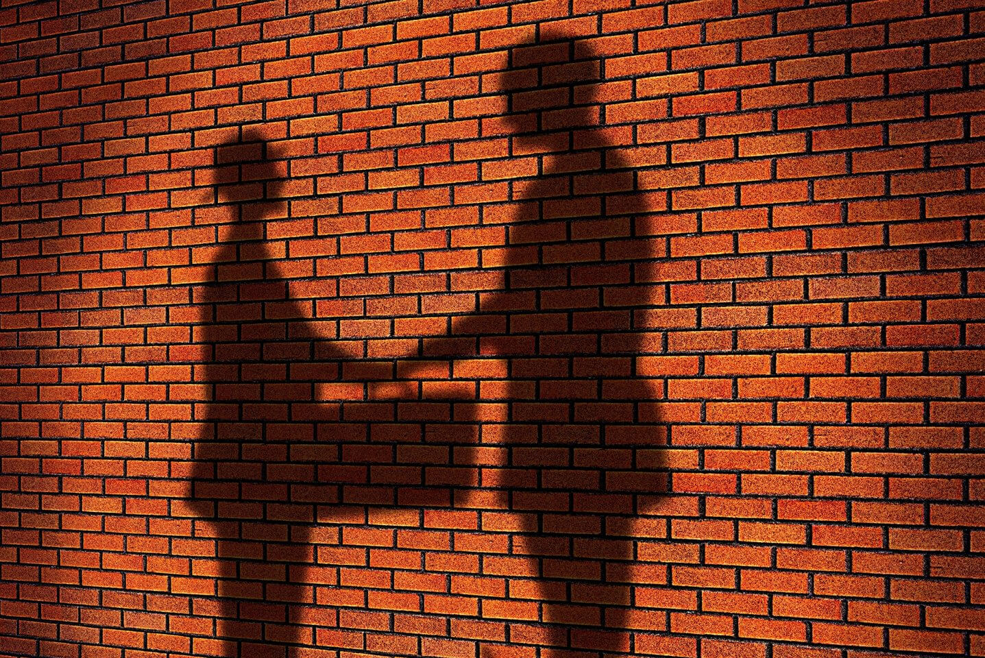 Депутат еңбекке салынатын салықтарды төмендетіп, жұмыспен қамтуды көлеңкеден шығаруға шақырды
