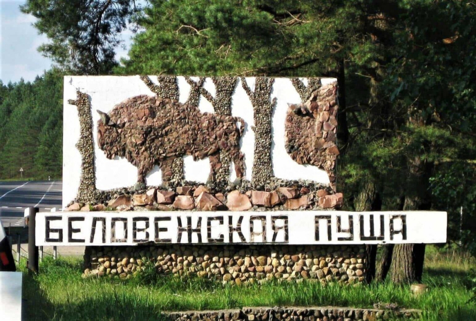 Ущерб в 20 миллионов долларов причинила Польша Беловежской пуще