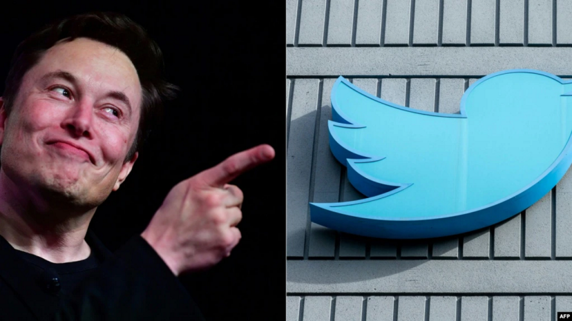 Twitter не может действовать по прихоти капризного миллиардера – Репортеры без границ