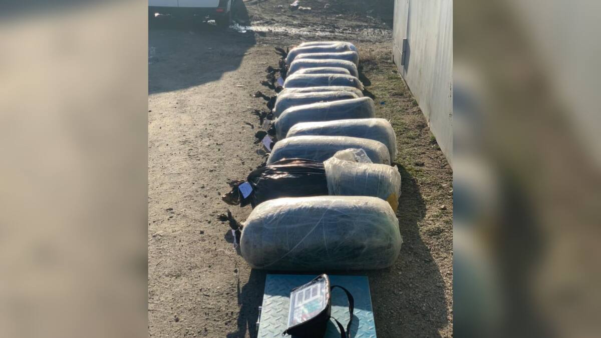 Крупную партию наркотиков изъяли в Павлодарской области