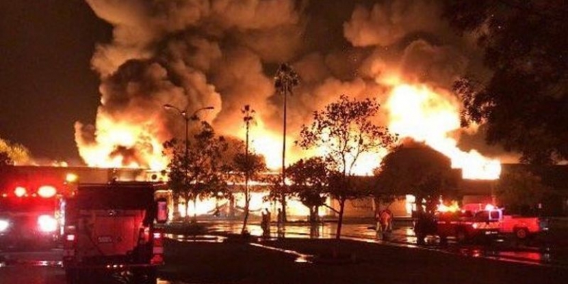 15 человек стали жертвами лесных пожаров в США