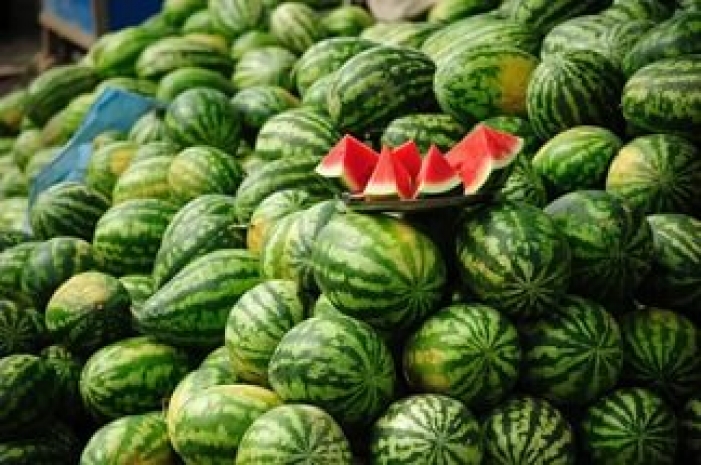 В Шымкенте запретят торговлю арбузами и дынями на улицах