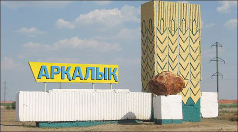 В Аркалыке девочка прожила 16 лет без документов