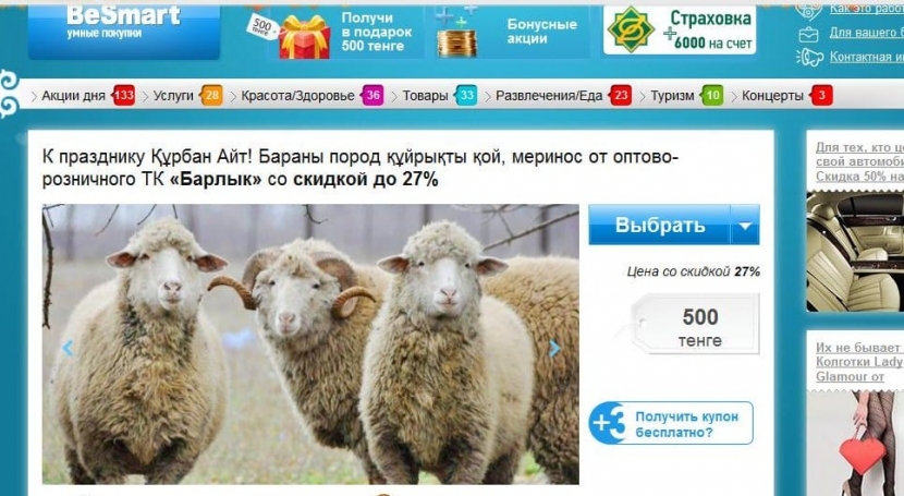 Жертвенных баранов продают в Казнете по скидочным купонамЭксклюзив