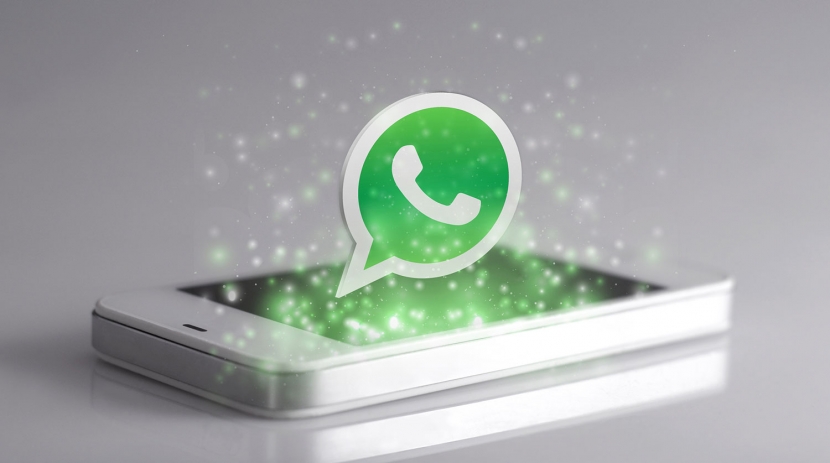 Функция проверки фейковых сообщений добавлена в WhatsApp