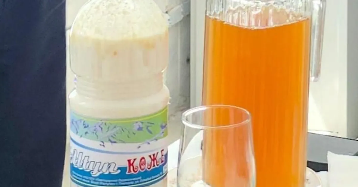 Молочный продукт на основе казахского напитка Наурыз коже разрабатывают павлодарские ученые