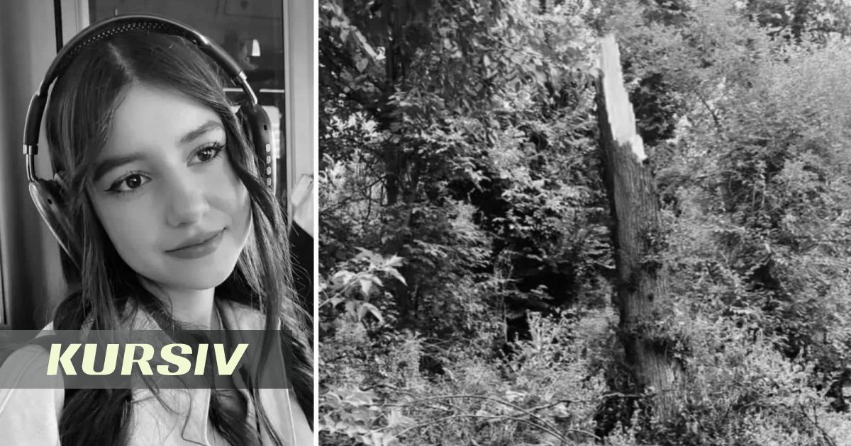 Умерла девушка, на которую упало дерево в Алматы