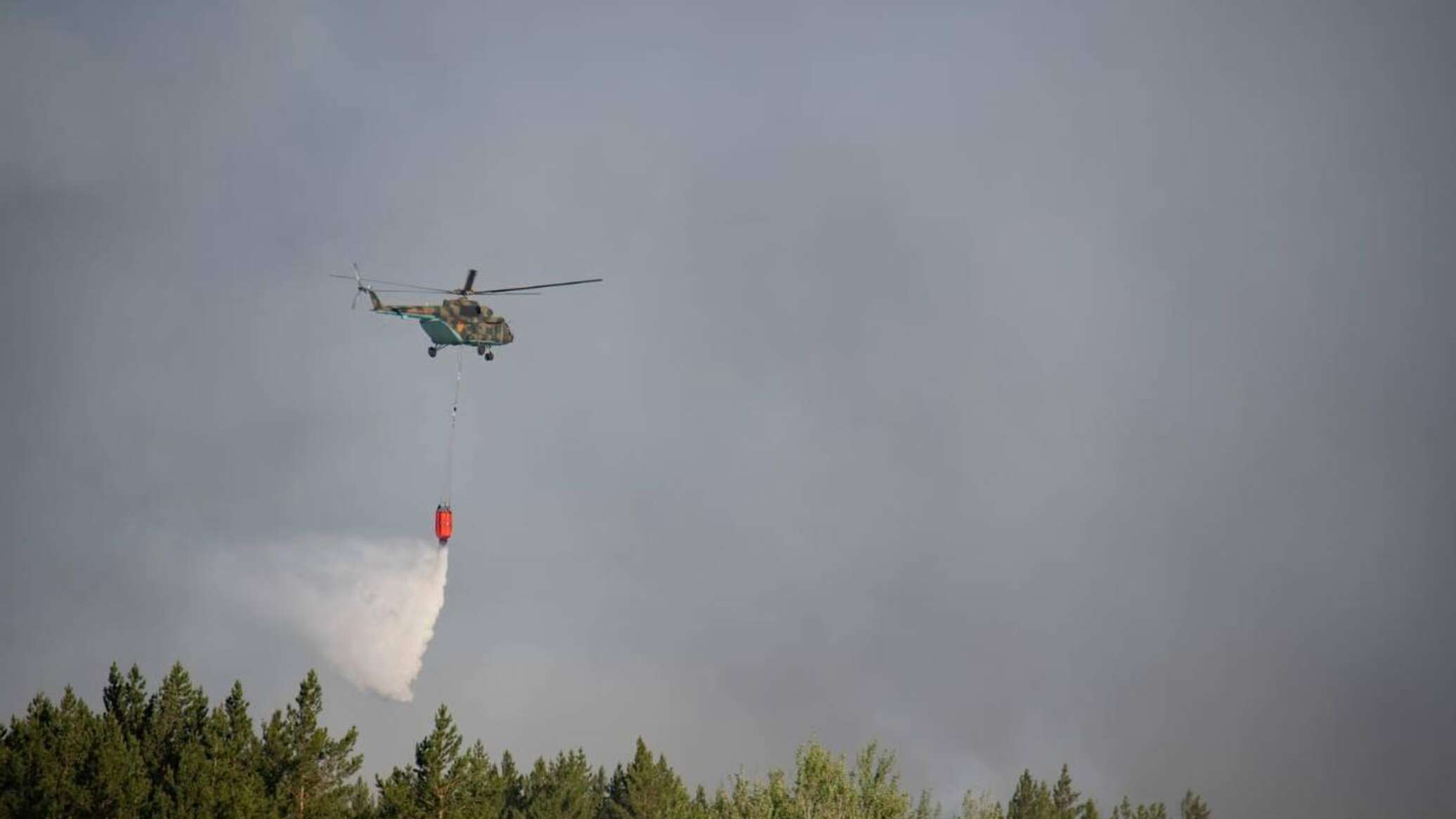 Елімізде бір күнде 5 орман өрті тіркелді