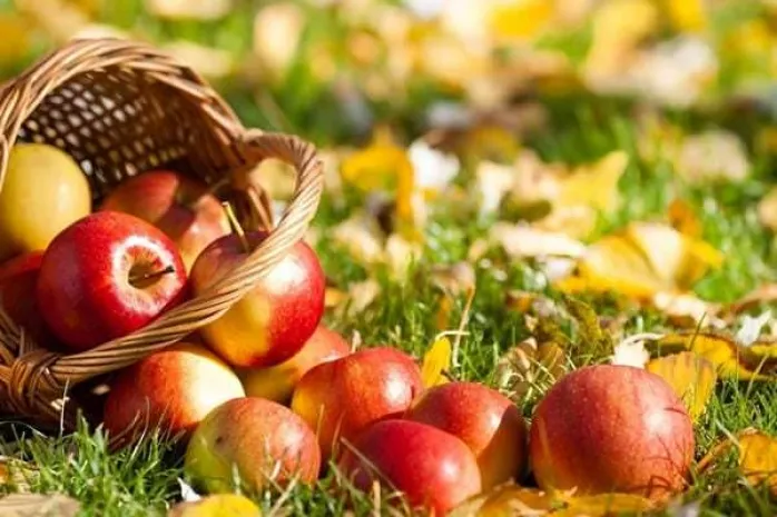 В Алматы пройдет Apple Fest