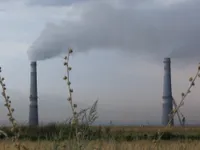 Алматинские