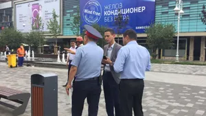 Акимат Алматы: на Арбате незаконно срубили четыре дерева