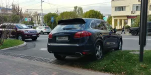 Хозяйка припаркованного на газоне внедорожника наказана