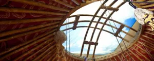 Исследователи пересчитали казахов по жузам и родам