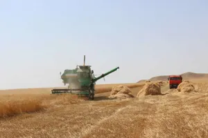 Казахстан сравнялся с Беларусью и Кыргызстаном по посевным площадям