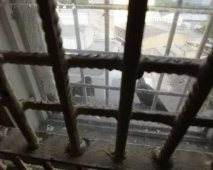 Адвокатессу застали во время секса с арестованным клиентом