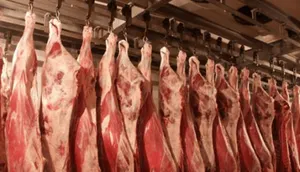 На выходные в Алматы привезут 200 тонн мяса, молока и рыбы
