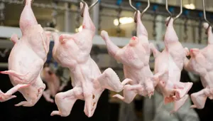 Ограничения на транзит мяса птицы через Россию в Казахстан отменены