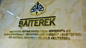 Структуры холдинга «Байтерек» оптимизируются – Смаилов