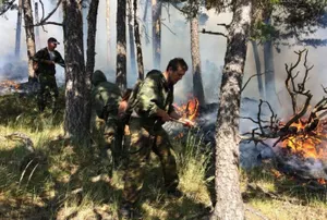 Горит лес на горе Жеке Батыр в Боровом