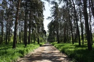 В Алматы построят Музей современного искусства