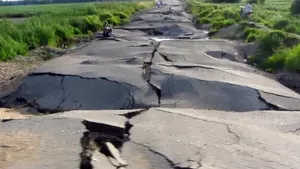В «КазАвтоЖоле» прокомментировали скандальное видео о дороге на EXPO