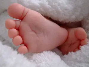 В Кызылорде папы родившихся в феврале тройняшек получили машины
