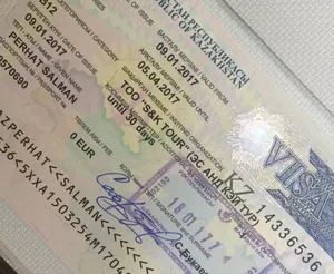 Электронные визы появятся в Казахстане