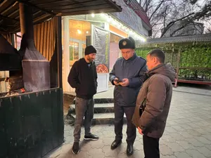 В Жетысуском районе Алматы пресекли незаконную работу «коптящихся» шашлычных