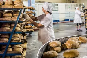 В Минсельхозе не исключают колебания цен на хлеб в Казахстане