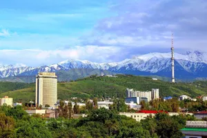 Более 100 незаконных торговых точек ликвидировано в Алматы
