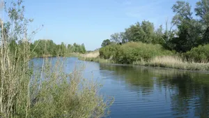 В Атырау живую женщину приняли за утопленницу