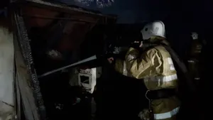 В Алматы огонь с гаража мог перекинуться на дом