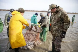 Почти шесть тонн снулой рыбы собрали за выходные на Урале