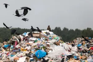 Легитимность проекта Waste to Energy вызывает серьезные сомнения у экологов