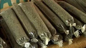 Более двух тонн насвая пытался провезти кыргызстанец через границу
