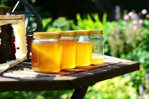 Цены на мед выросли на 10% в Казахстане