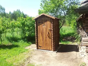 Деревянный туалет пытался украсть мужчина в Усть-Каменогорске