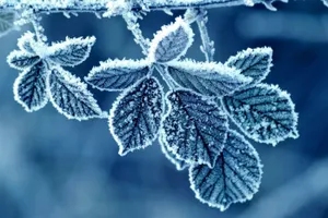 Мороз до -45°С ожидается на востоке Казахстана