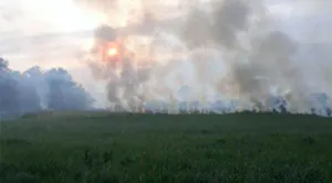 В ВКО горели 25 гектаров сухой травы