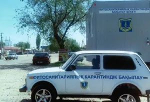 Казахстан снял запрет на ввоз картофеля, яблок и хурмы из Кыргызстана