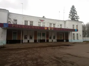 Группа из 50 человек пыталась проникнуть на территорию «Роскосмоса»
