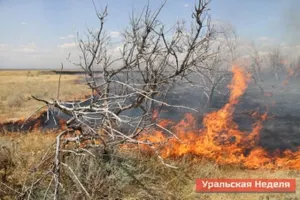 В Павлодарской области ликвидирован крупный степной пожар