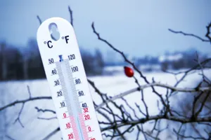 24 января в Астане вновь отменены занятия