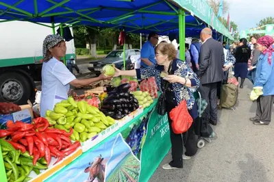 В Астане свою продукцию представят Карагандинская и Восточно-Казахстанская область